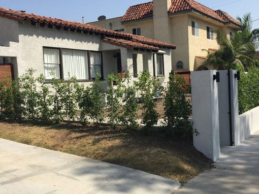 Front Yard Refacing